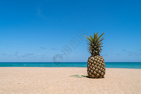 沙滩上的菠萝 蓝色的天空夏季概念 甜的 放松图片