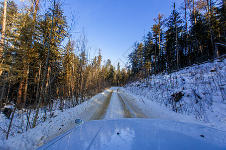 从车边看 山上蛇纹在雪地高山中 和沿路边生长的树之间 树木 国家公园图片