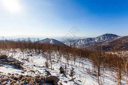 俄罗斯人在山区的冬天 看到雪地高山上满是裸露的树木和fir树 美丽的 顶峰图片