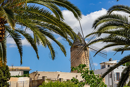 西班牙帕尔马德马洛卡的风车 岛 巴利阿里图片