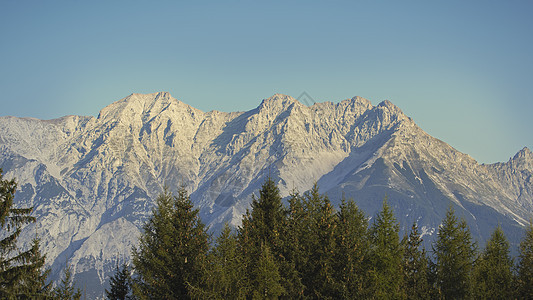 奥地利阿尔卑斯山 穆特拉姆 户外 树木 编队图片