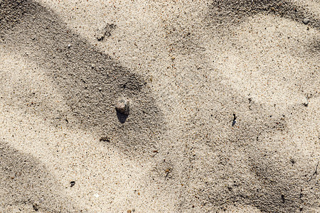 波罗的海海滩上沙滩的详细特写视图 材料 岩石图片