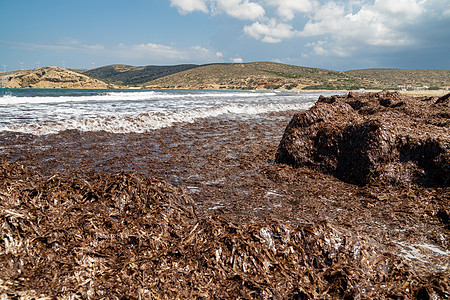 在Rh的Prasonisi半岛上带棕藻类的海滩段 爱琴海 夏天图片