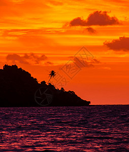 斐济的美丽照片 斐济水 旅行图 爱旅行 旅游 旅游博主图片
