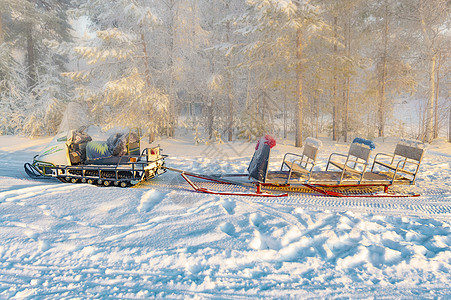 冬季森林里有雪橇的雪橇雪车 从侧面看图片
