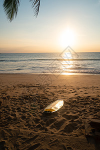 在夏日沙滩的椰子树旁 阳光照耀的冲浪板 冲浪者图片