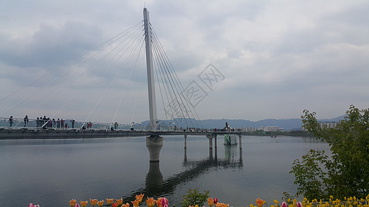 在春川市的索阳湖上漫步 天空的景色很美 花图片