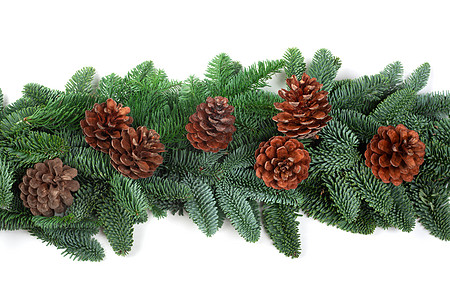 杉树圣诞节边界在惠特的 卡片 平躺 美丽的 装饰品 框架图片