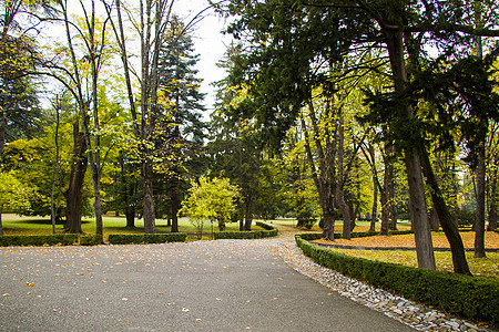 格鲁吉亚齐南达利公园和花园 秋天公园景观 植物学 乔治亚州图片