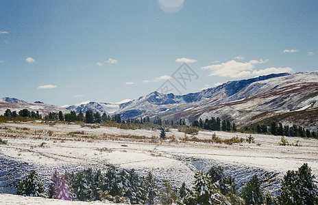 冬季阿尔泰 山丘和雪中的森林 冬天来到阿尔泰 雪落下 假期 活动图片