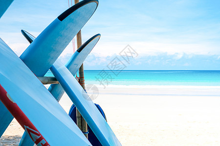 许多在夏日沙滩租的冲浪板 阳光照亮蓝SK 冲浪者 海滨图片