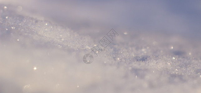 干净的白雪接近 冬天背景 季节 十二月 冰 大雪纷飞图片