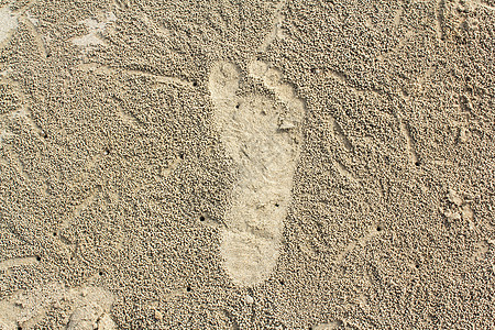 沙中脚印 旅行 脚跟 海滨 腿 踪迹 漫步图片
