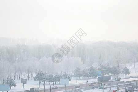 城市的暴风雪 冬季天气 冻结 雪花 冰冷的 森林图片