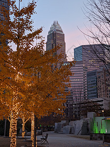 清晨在北卡罗莱纳州北部Charlotte 南方 住宅区图片