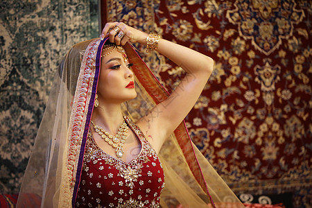 美丽的印度女孩的画像 身穿纱丽和昆丹珠宝的年轻印度女模特 印度传统服装 东方或阿拉伯文化 指甲花 成人图片
