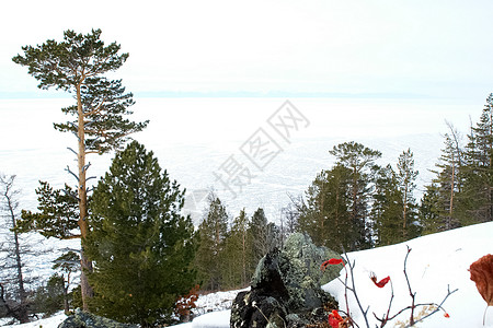 冬季的白卡尔山雪 下雪的森林覆盖了山岳 寒冷的图片