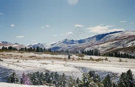 冬季阿尔泰 山丘和雪中的森林 冬天来到阿尔泰 雪落下 山峰 湖图片