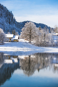 阿尔卑斯山 萨尔茨堡Hintersee湖 雪树和山丘 冬季仙境 天气图片