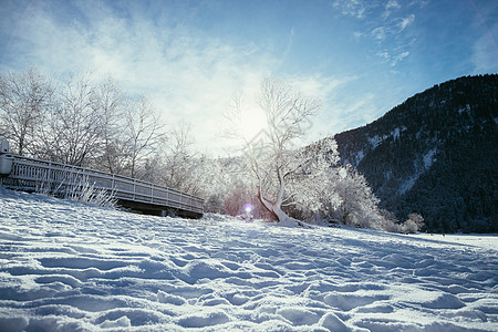 山崩 白雪木桥 霜冻树木和山脉;黄昏的寒冷冬季风景 雄伟 田园风光图片