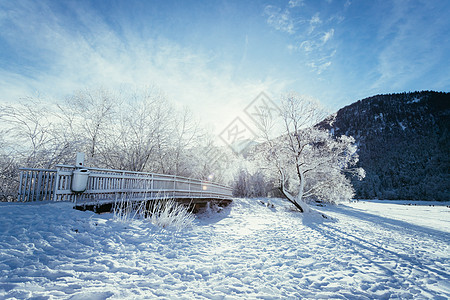 山崩 白雪木桥 霜冻树木和山脉;黄昏的寒冷冬季风景 美丽的 有雾图片