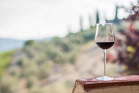 托斯卡纳的红酒杯子 背景是葡萄酒场 选择性焦点 享受图片
