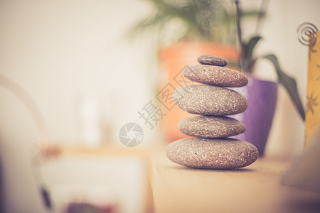 风水 起居室的岩盖 平衡与放松 架子 健康水疗 家图片