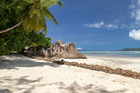 塞舌尔岛的天堂海滩La Digue 棕榈树 放松图片