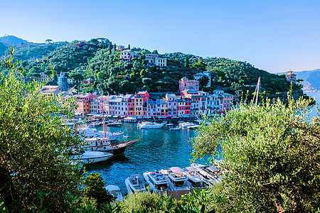 意大利Ligurian海岸多彩色村庄的意大利著名的Portofino村湾 地中海 旅游图片