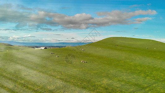 春季对多彩色新西兰乡村的空中观景 农业 云图片