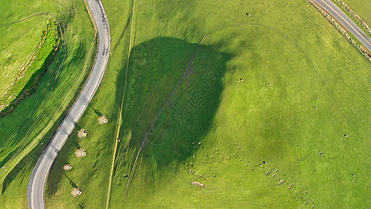 春季对多彩色新西兰乡村的空中观景 飞机 草图片