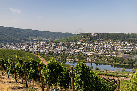 Moselle河谷的风景 夏天 自行车 旅行 策尔廷根拉赫蒂格图片