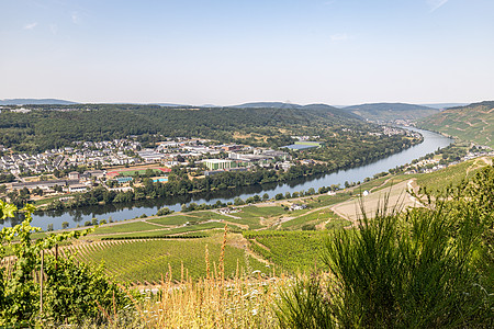 附近Moselle河谷的风景 葡萄酒 自行车 德国图片