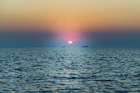 海鸥在美丽的日落背景下 飞越海面上飞翔 地平线图片