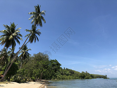 Koh Mook岛海滩 假期 泰国 海洋 旅行图片