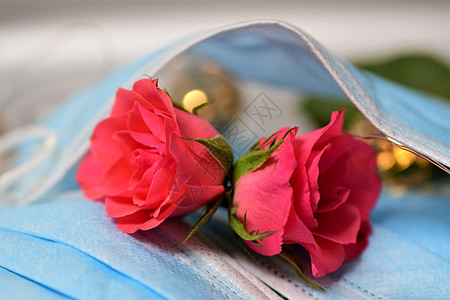 在外科面具下 紧贴两朵粉红玫瑰背景图片