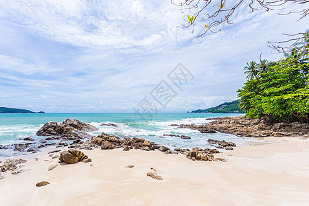 暑假和假期背景概念 美丽的叶子在热带沙滩上树架状的树 夏天 海浪背景图片
