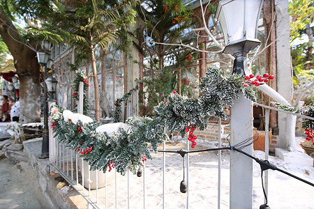 斯诺的圣诞树装饰 十二月 松树 冬天 圣诞节 假期 冷杉图片