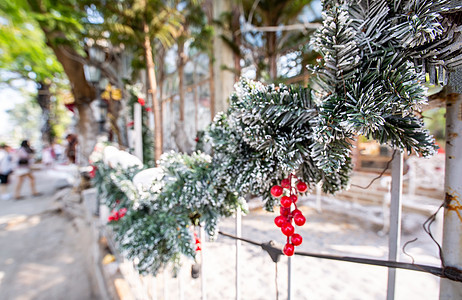 斯诺的圣诞树装饰 季节 火花 假期 新年 快乐的图片