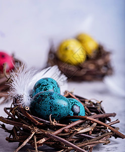 灰色大理石背景上巢中的彩色复活节鹌鹑蛋图片