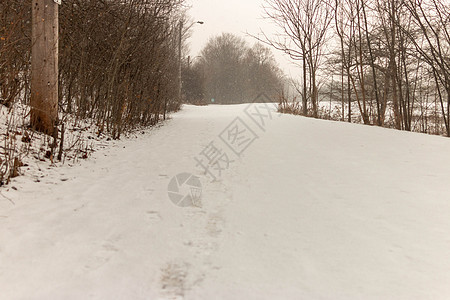 加拿大新雪降雪后的冬季风景情况 寒冷的 河 冬天图片