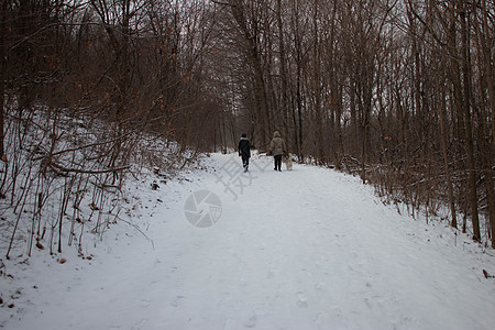 加拿大新雪降雪后的冬季风景情况 霜 云 水图片