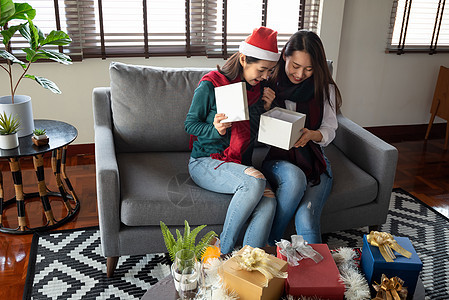 12月 两位女性在家中享受圣诞节和新年晚会的庆祝活动 装饰风格 派对图片