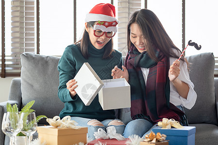 12月 两位女性在家中享受圣诞节和新年晚会的庆祝活动 装饰风格 乐趣图片