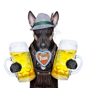 巴伐利亚啤酒做 慕尼黑 戏服 巴伐利亚语 小猎犬 饮料 椒盐卷饼 连衣裙图片