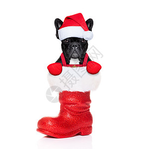 驯鹿 纸 圣诞老人 庆典 短袜 标语牌 斗牛犬 狗 展示 假期图片