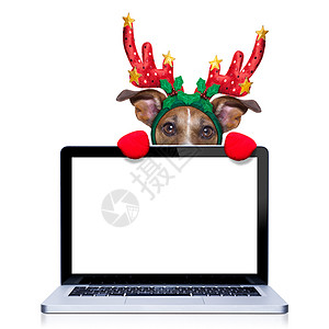 圣诞狗 空的 笔记本电脑 展示 电脑 横幅 电子书 监视器 驼鹿 屏幕图片
