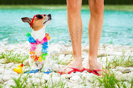 暑假和自养狗人 友谊 假期 杰克罗素 海 快乐的 热的图片