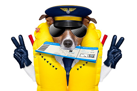 航空机驾驶飞行员飞行服务员检查机票 报到 飞机场图片