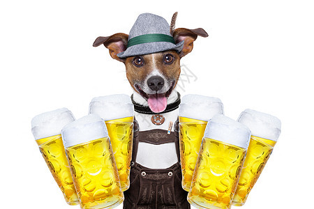 巴伐利亚啤酒做 玻璃 吐司 心 宠物 皮裤 维森 啤酒节图片